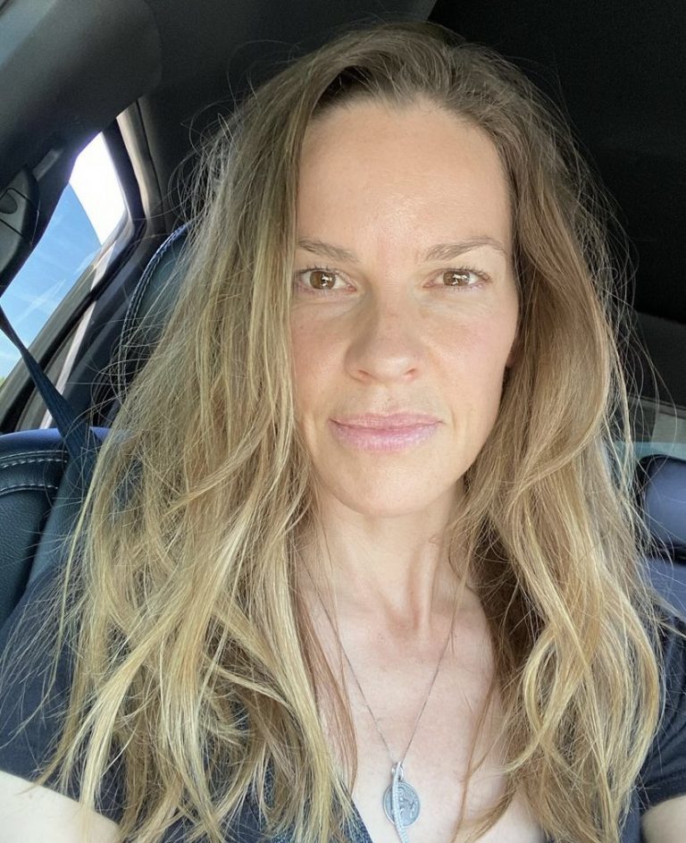 Hilary Swank reveals she is pregnant with twins