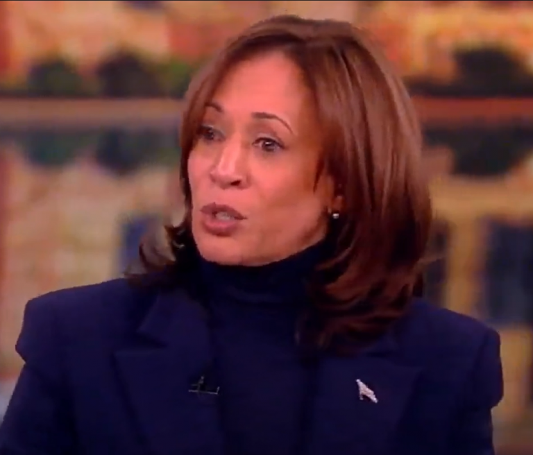 Kamala Harris says everyone should be ‘scared’ about Donald Trump’s possible second term