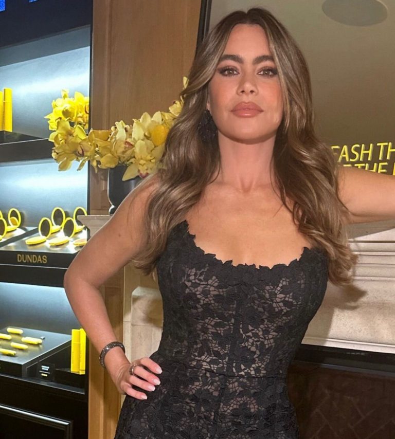 Divorce proceedings between Sofia Vergara and Joe Manganiello concluded