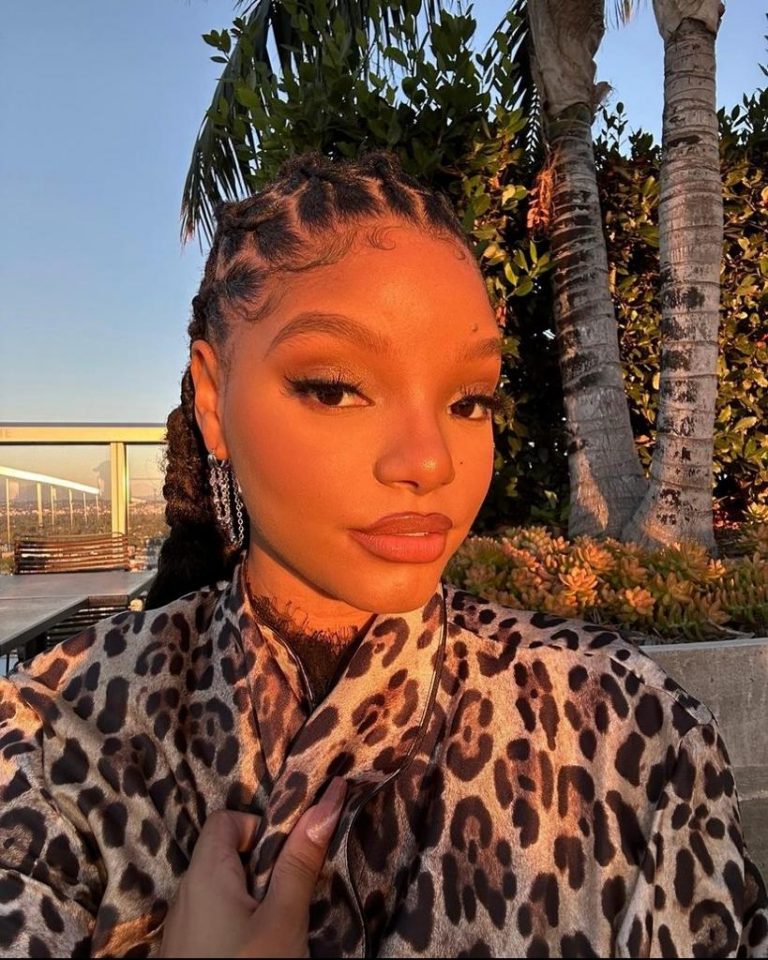 Halle Bailey reveals why she decided to keep her pregnancy private